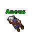 Aneus