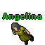 Angelina