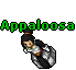 Appaloosa