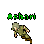 Ashari