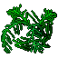 Big Fern