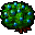 Blueberry Bush