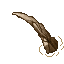 Bone (Immobile)