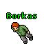 Borkas