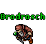 Brodrosch