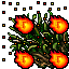 Burning Sugar Cane