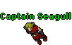 Captain Seagull