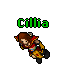Cillia