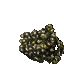 Coral (Medium)