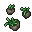 Corms