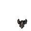 Dawn Bat
