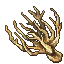 Dragonbone Tree
