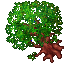 Druid Tree