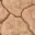 Dry Earth