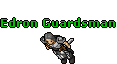 Edron Guardsman
