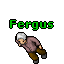Fergus