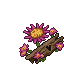 Flowering Log