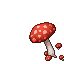 Fly Agaric