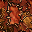 Fur (Tile)