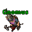 Gnomus