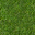 Grass (Tile)