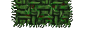Grass Roof