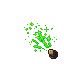 Green Fireworks (Fountain)