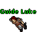 Guide Luke