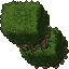 Hedge