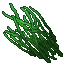 High Grass