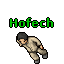 Hofech