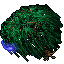 Holy Tree