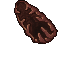 Insectoid Cell