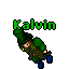 Kalvin