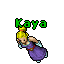 Kaya