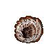 Large Hole (Webs)