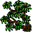 Mango Tree