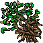 Mangrove (Large)