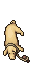 Meager Porker