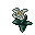 Moon Flower (Desert)