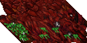 Moss