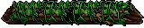 Mossy Fallen Tree