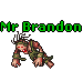 Mr Brandon