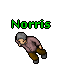 Norris