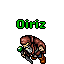 Oiriz