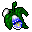 Orchid