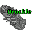 Orockle