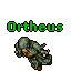 Ortheus