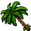 Palm