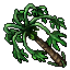 Pawpaw Tree